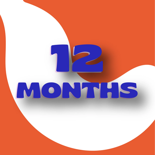 12 Months Subscription