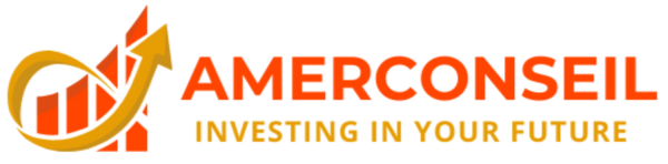 Amer Conseil Solutions Ltd